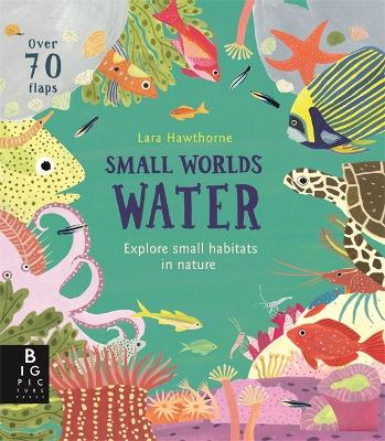 Small Worlds: Water book