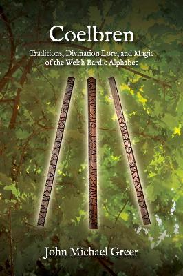 Coelbren: Traditions, Divination Lore, and Magic of the Welsh Bardic Alphabet - Revised and Expanded Edition book