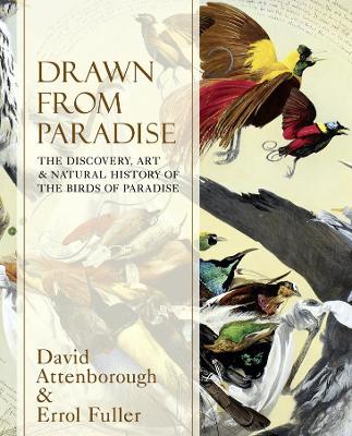 Drawn From Paradise: The Discovery, Art and Natural History of the Birds of Paradise by Sir David Attenborough