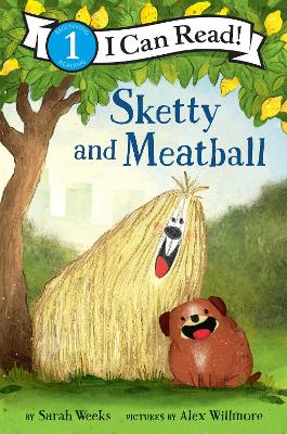Sketty and Meatball book