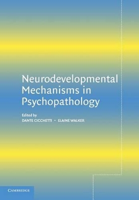 Neurodevelopmental Mechanisms in Psychopathology book