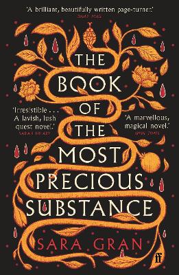 The Book of the Most Precious Substance: Discover this year’s most spellbinding quest novel by Sara Gran