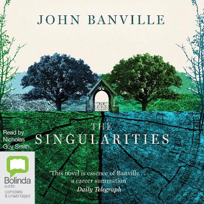 The Singularities book
