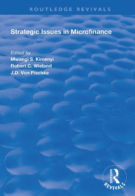 Strategic Issues in Microfinance book