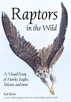 Raptors In The Wild: A Visual Essay of Hawks, Eagles, Falcons, and more. book
