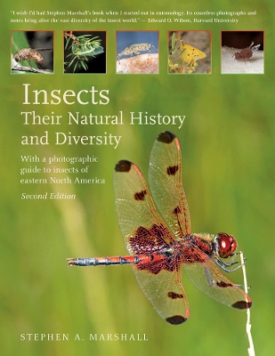 Insects book