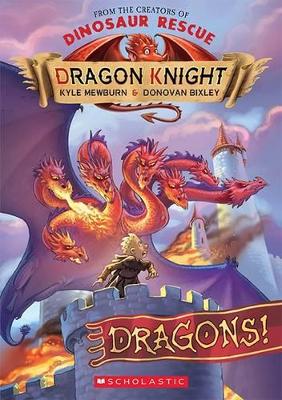 Dragon Knight #4 Dragons! book