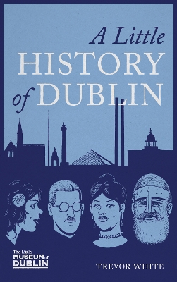 A Little History of Dublin book