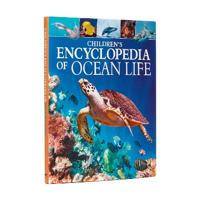 Children's Encyclopedia of Ocean Life by Claudia Martin