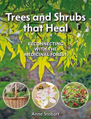 Trees and Shrubs that Heal: Reconnecting With The Medicinal Forest book