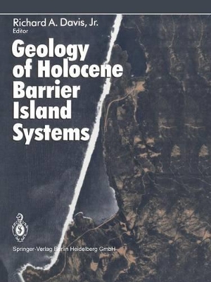 Geology of Holocene Barrier Island Systems book