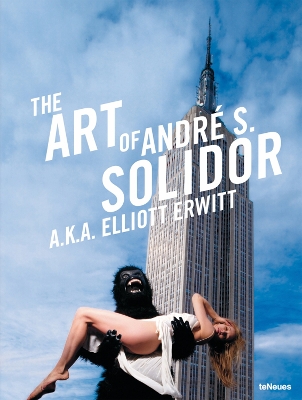 Art of Andre S Solidor book