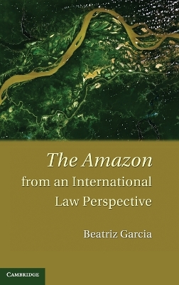 The Amazon from an International Law Perspective by Beatriz Garcia