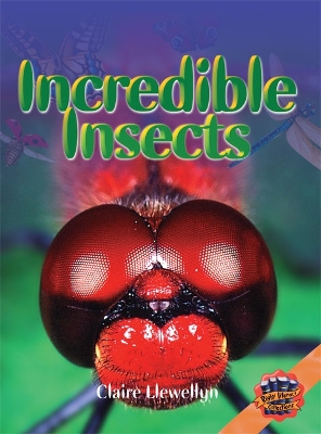 Rigby Literacy Collections Level 4 Phase 6: Incredible Insects (Reading Level 30+/F&P Level V-Z) book