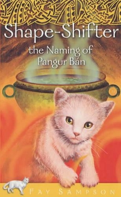 Shape-shifter: The Naming of Pangur Ban book
