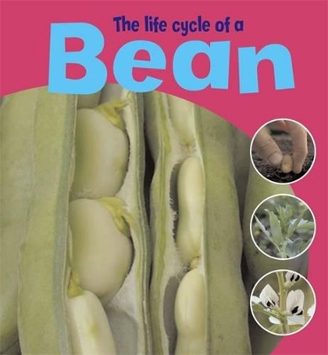 Life Cycle of a Bean book