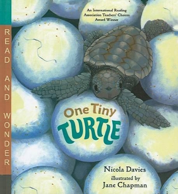 One Tiny Turtle book