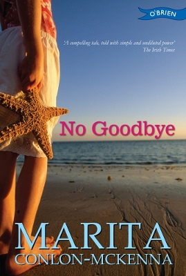 No Goodbye book