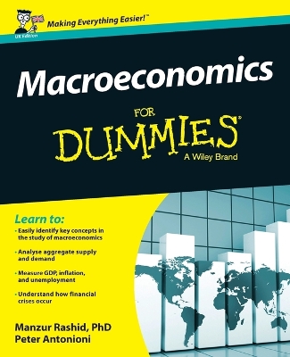 Macroeconomics for Dummies, UK Edition book