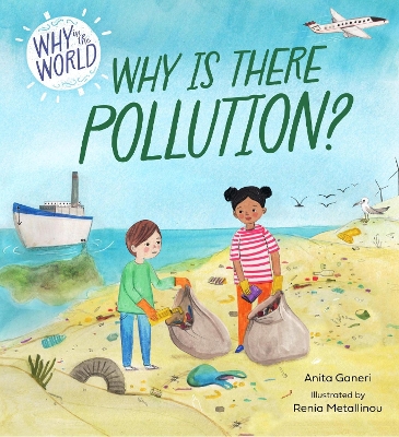 Why in the World: Why is there Pollution? by Anita Ganeri