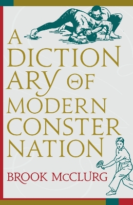 A Dictionary of Modern Consternation book