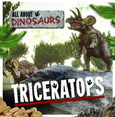 Triceratops by Amy Allatson