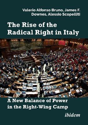 The Rise of the Radical Right in Italy: A New Balance of Power in the Right-Wing Camp? book