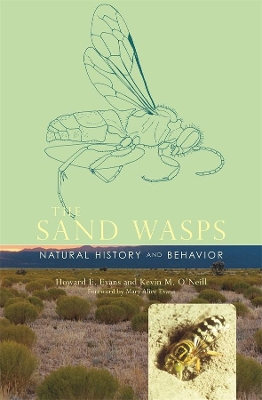 Sand Wasps book