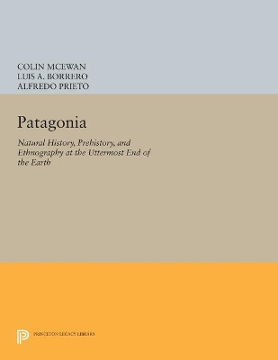 Patagonia book