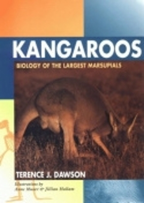 Kangaroos book