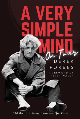 A Very Simple Mind book