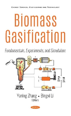 Biomass Gasification: Fundamentals, Experiments, and Simulation book