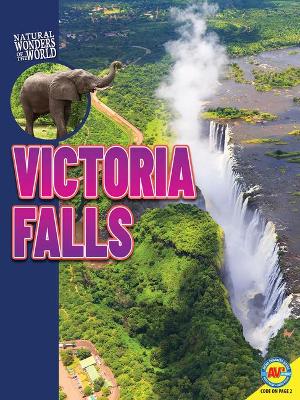 Victoria Falls book