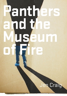 Panthers and the Museum of Fire book