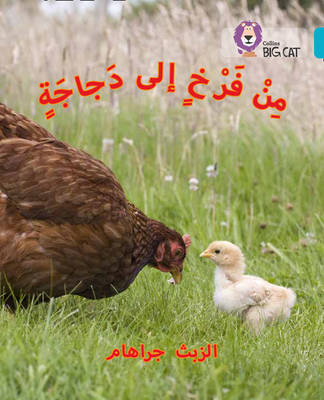 Chick to Hen book