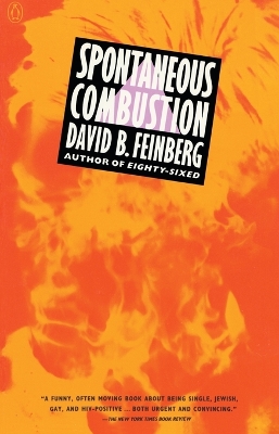 Spontaneous Combustion by David B. Feinberg