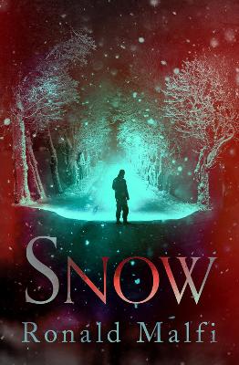 Snow book