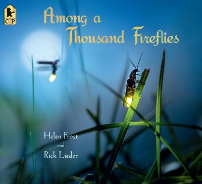 Among a Thousand Fireflies by Helen Frost