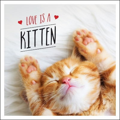 Love is a Kitten: A Cat-Tastic Celebration of the World's Cutest Kittens book