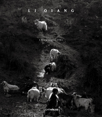 Li Qiang: China Since 1981 book