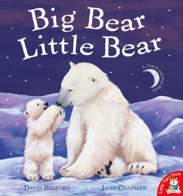 Big Bear Little Bear book