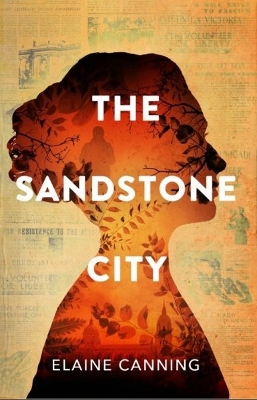 Sandstone City, The book