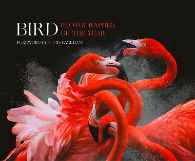 Bird Photographer of the Year: Collection 3 book