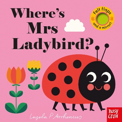 Where's Mrs Ladybird? book