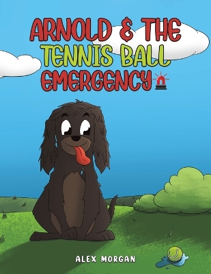 Arnold & The Tennis Ball Emergency book