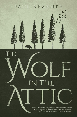 Wolf in the Attic book