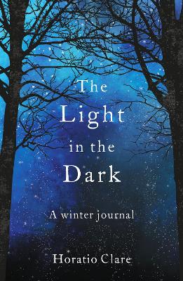 The Light in the Dark: A Winter Journal book