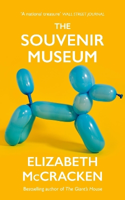 The Souvenir Museum book