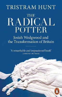 The Radical Potter: Josiah Wedgwood and the Transformation of Britain book