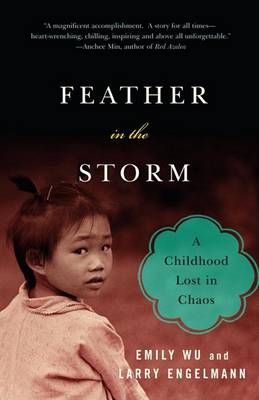 Feather in the Storm book